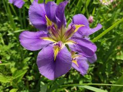 -海合安武汉极地海洋公园