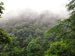 -瓦屋山景区