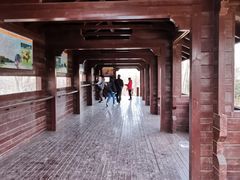 -南海子公园