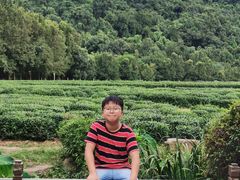 -中国茶叶博物馆(双峰馆区)
