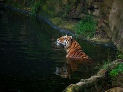 -大连森林动物园