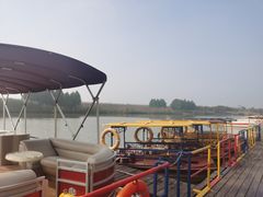 -合肥滨湖国家森林公园