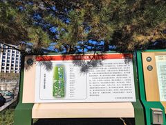 -玲珑塔公园