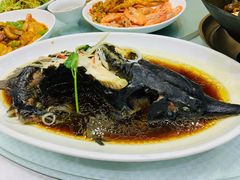 清蒸鲟鱼-双井轩(双井店)
