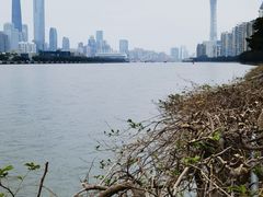 -珠江夜游广州塔·中大码头