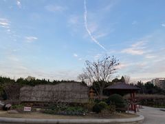 -嘉定紫藤园