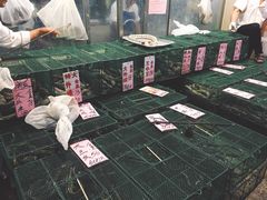 -荔城生鲜盛宴(番禺旗舰店)