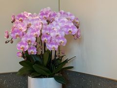 -茹·pure vegan(博华广场店)