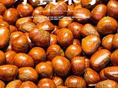 -小宝栗子(嘉华国际商业中心店)