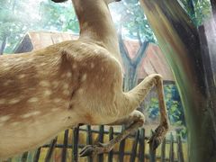 -北京鹿世界主题园