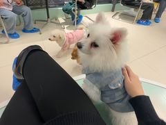 -怪兽屋·羊驼·猫咖·狗咖(俊华广场店)