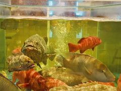 -聚福宝合苑食府(南头镇店)