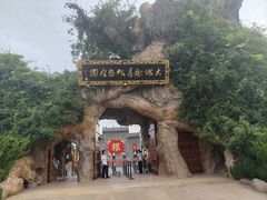 -大槐树寻根祭祖园
