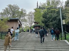 -上海佘山国家森林公园西佘山园