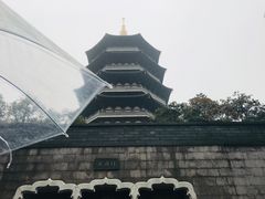 -西湖外事游船(花港观鱼码头)