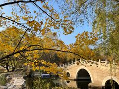 -国家植物园南园