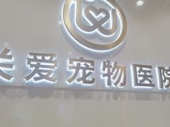 -关爱宠物医院·猫科中心·消化科(滨湖万达分院)
