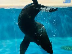 -成都浩海立方海洋公园