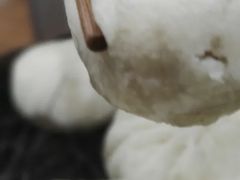 -舒小笼松针小笼包