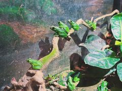 -正佳雨林生态植物园