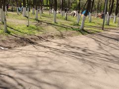 -长白岛森林公园