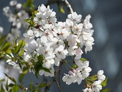 -七宝老街-闵行市民文化广场