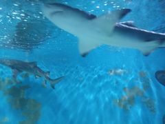 -水上乐园·欢乐世界