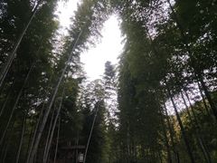 -南山风景名胜区