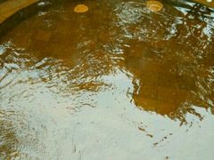 -杭州第一世界大酒店·云曼温泉