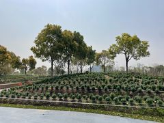 -春花秋色城市公园