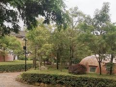 -永泰中国云顶
