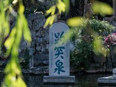 -趵突泉景区