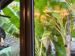 -铜锣湾·有麝自然香(重庆新天地店)