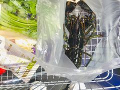-盒马鲜生(大成店)