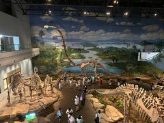 -自贡恐龙博物馆