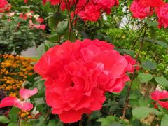 -无锡市市民中心