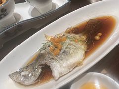 -十八棵（老龙井）御茶园(老龙井店)