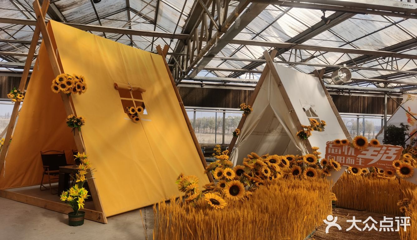 忘忧农场自驾游