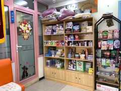 -全心全意连锁动物医院·微创中心·内科急重症·心脏专科(丰管路店)