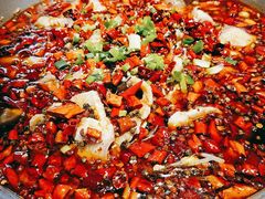 -爱妻鱼•老体北重庆水煮鱼•川菜(白云路店)