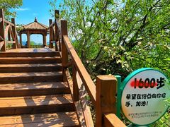 -大岭沟猕猴桃谷风景区
