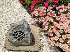 -东方体育中心(地铁站)