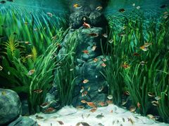 -上海海洋水族馆