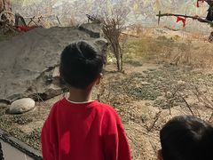 -平原博物院