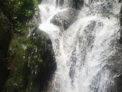 -藏龙百瀑风景区