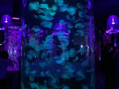 -贝林大翅鲸简餐厅(国家海洋博物馆店)