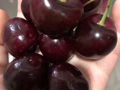 -盒马鲜生(新都心店)