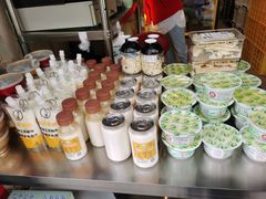 -德禄酸奶(莫家街店)