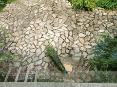 -苏州环秀晓筑养生度假村