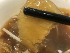 -大中鱼翅 Taitong Shark Fin